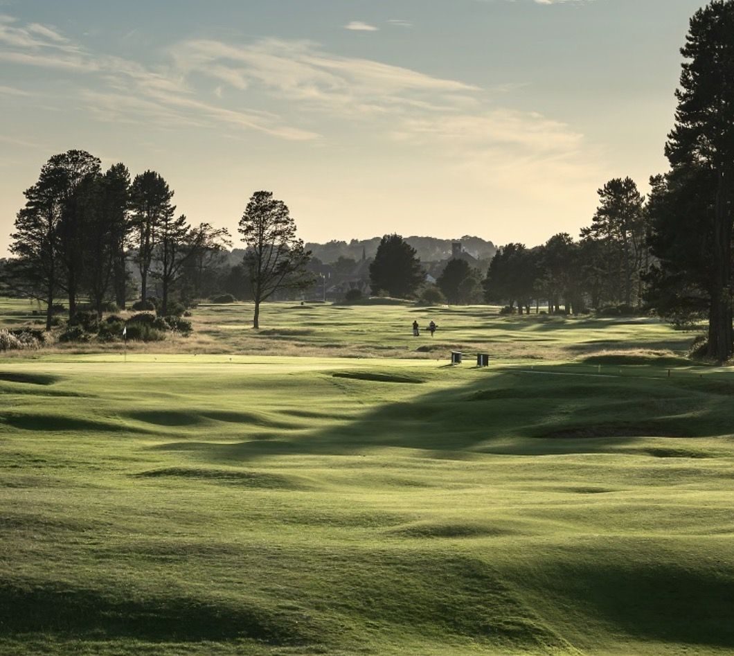 Links fairway with pine trees at first light