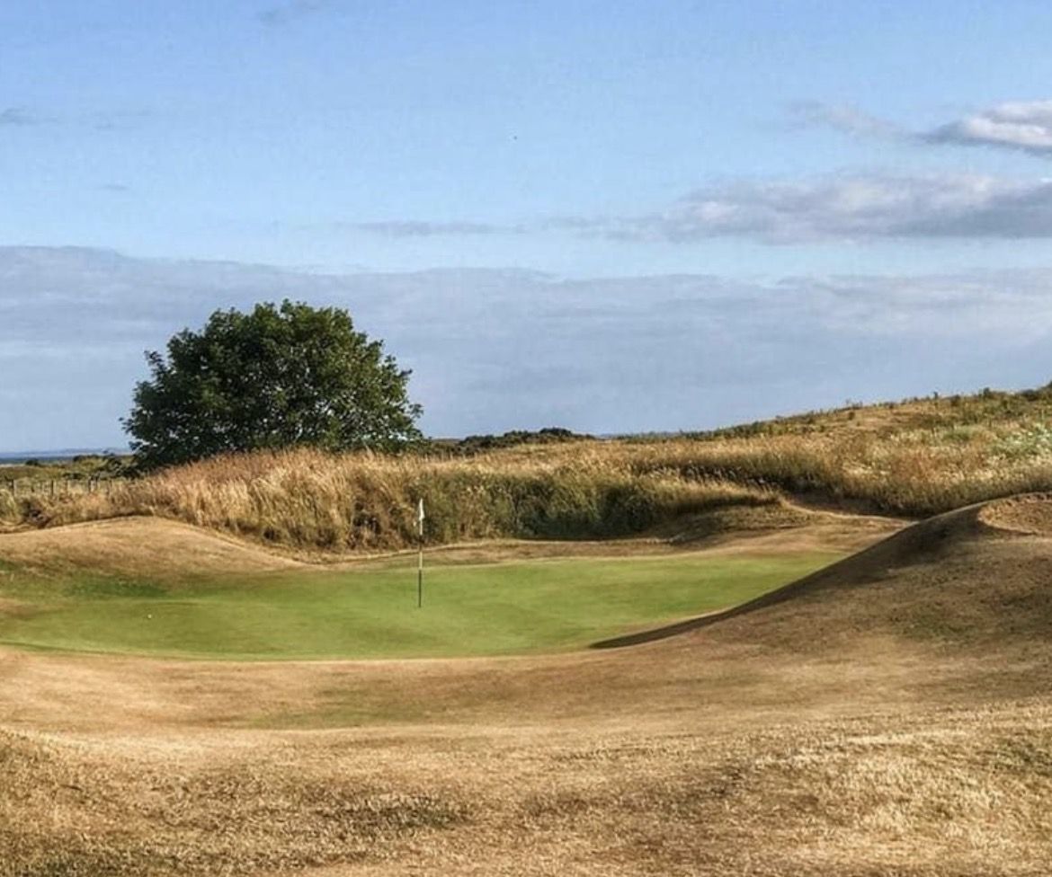 Sunken links green among dunes and long grass